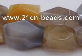 CNG1061 15.5 inches 12*16mm - 15*20mm faceted nuggets Botswana agate beads