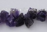 CNG1121 15.5 inches 8*12mm - 13*18mm nuggets amethyst beads