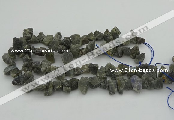 CNG1159 15.5 inches 8*12mm - 13*18mm nuggets labradorite beads