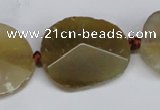 CNG1408 15.5 inches 20*25mm - 30*35mm faceted freeform agate beads