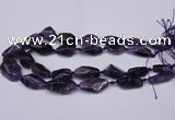 CNG1705 15.5 inches 15*20mm - 18*35mm nuggets amethyst beads