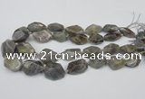 CNG1715 15.5 inches 15*20mm - 20*30mm nuggets labradorite beads