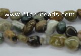 CNG209 15.5 inches 7*9mm nuggets ocean stone beads