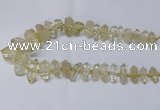 CNG2151 15.5 inches 10*25mm - 15*40mm faceted nuggets lemon quartz beads