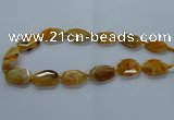 CNG2635 15.5 inches 18*28mm - 20*30mm freeform agate beads