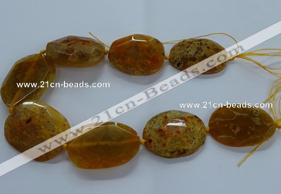 CNG2647 15.5 inches 30*38mm - 40*50mm freeform agate beads