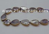 CNG2723 15.5 inches 18*28mm - 20*30mm freeform amethyst beads