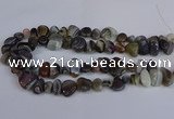 CNG2837 15.5 inches 8*12mm - 15*20mm nuggets botswana agate beads