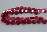 CNG2909 15.5 inches 12*16mm - 15*25mm freeform agate beads