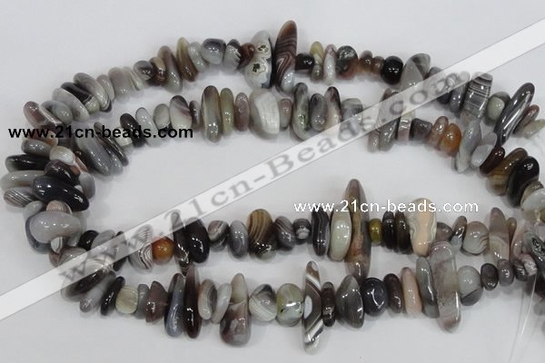 CNG316 15.5 inches 3*6mm - 5*22mm nuggets botswana agate beads