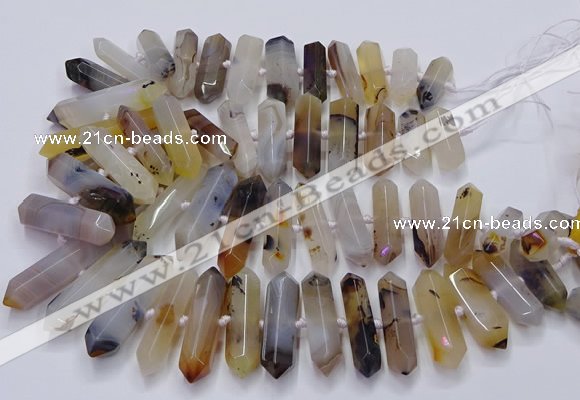 CNG3210 15.5 inches 10*25mm - 12*45mm faceted nuggets Montana agate beads