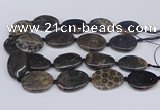 CNG3482 25*35mm - 30*40mm freeform chrysanthemum agate beads