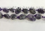 CNG3566 15.5 inches 18*20mm - 25*30mm nuggets rough amethyst beads