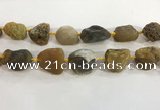 CNG3569 15.5 inches 18*20mm - 25*30mm nuggets rough agate beads