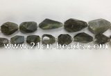 CNG3589 13*18mm - 15*30mm faceted nuggets labradorite beads