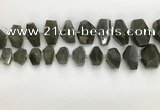 CNG3590 10*16mm - 15*30mm faceted nuggets labradorite beads