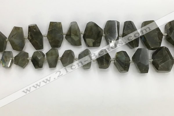 CNG3590 10*16mm - 15*30mm faceted nuggets labradorite beads