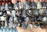 CNG3614 13*20mm - 15*24mm faceted nuggets Botswana agate beads