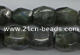 CNG5007 15.5 inches 10*14mm - 13*18mm faceted nuggets labradorite beads