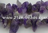 CNG5030 15.5 inches 4*8mm - 6*15mm nuggets amethyst beads