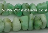 CNG5043 15.5 inches 6*10mm - 12*18mm nuggets Australia chrysoprase beads