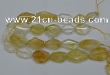 CNG5079 15.5 inches 20*30mm - 35*45mm freeform citrine beads