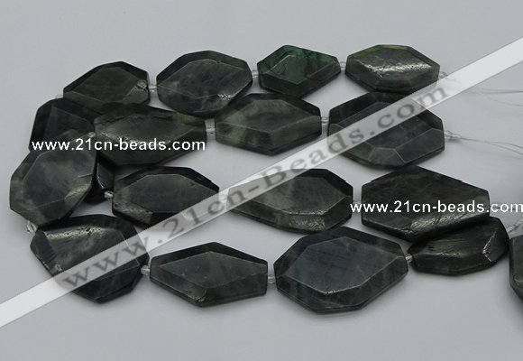 CNG5081 15.5 inches 20*30mm - 35*45mm freeform labradorite beads