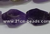 CNG5104 15.5 inches 14*20mm - 18*25mm freeform amethyst beads