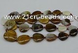 CNG5158 15.5 inches 16*22mm - 30*35mm freeform Mexican agate beads