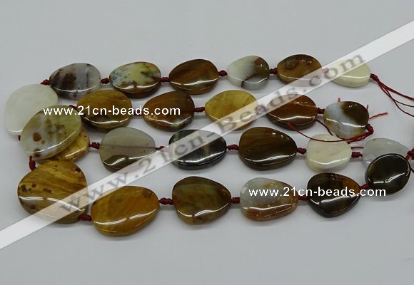 CNG5158 15.5 inches 16*22mm - 30*35mm freeform Mexican agate beads