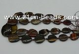 CNG5169 15.5 inches 16*22mm - 30*35mm freeform tiger iron beads