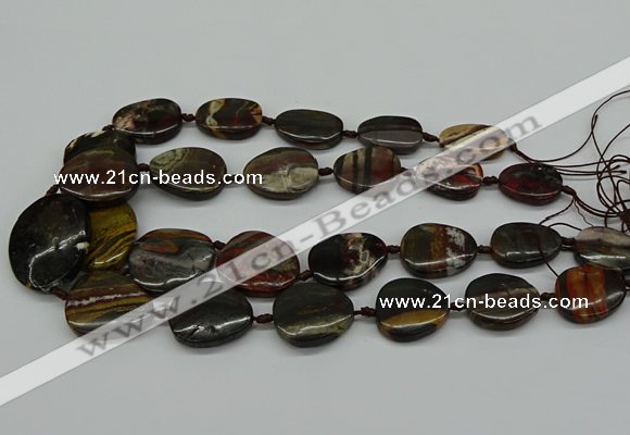 CNG5169 15.5 inches 16*22mm - 30*35mm freeform tiger iron beads