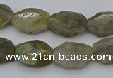 CNG5253 15.5 inches 13*18mm - 15*20mm faceted freeform labradorite beads