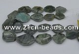 CNG5254 15.5 inches 22*30mm - 35*45mm faceted freeform labradorite beads