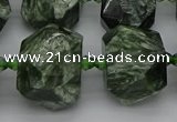 CNG5278 15.5 inches 13*18mm - 15*25mm faceted nuggets seraphinite beads