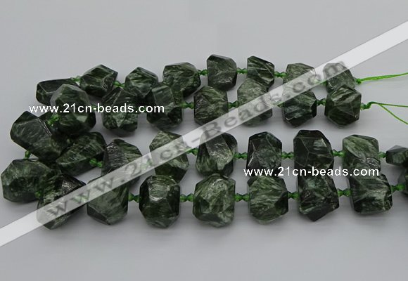 CNG5278 15.5 inches 13*18mm - 15*25mm faceted nuggets seraphinite beads