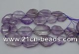 CNG5283 15.5 inches 20*30mm - 35*45mm faceted freeform amethyst beads