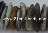 CNG5432 5*20mm - 8*25mm nuggets botswana agate gemstone beads