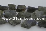 CNG5527 15.5 inches 6*8mm - 10*15mm nuggets labradorite beads
