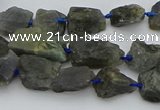 CNG5528 15.5 inches 10*14mm - 15*20mm nuggets labradorite beads