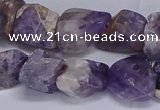 CNG5532 15.5 inches 10*14mm - 12*16mm nuggets dogtooth amethyst beads