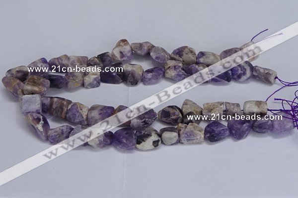 CNG5532 15.5 inches 10*14mm - 12*16mm nuggets dogtooth amethyst beads