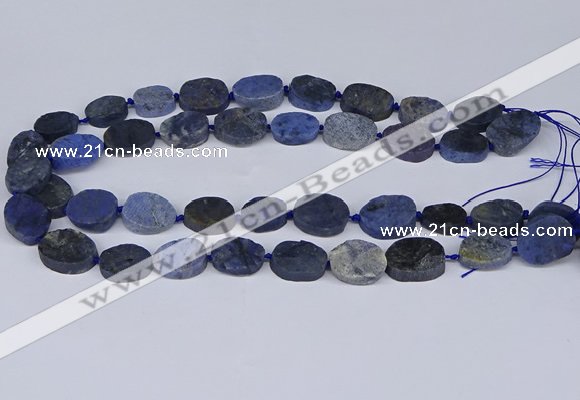 CNG5564 15.5 inches 12*16mm - 18*22mm freeform blue dumortierite beads