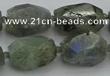 CNG5586 12*16mm - 15*25mm faceted nuggets labradorite beads