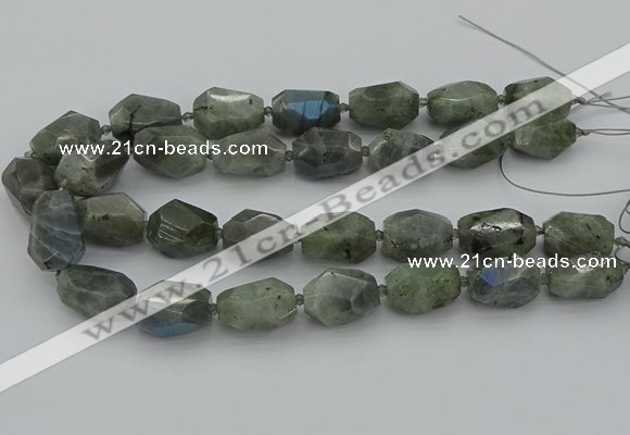 CNG5586 12*16mm - 15*25mm faceted nuggets labradorite beads