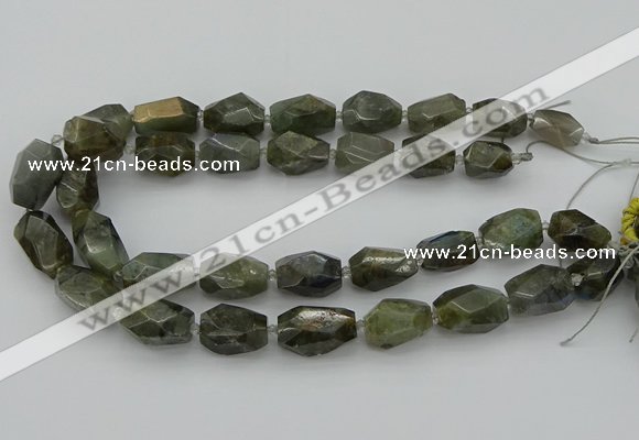 CNG5587 12*16mm - 15*25mm faceted nuggets labradorite beads