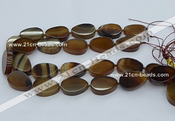 CNG5667 15.5 inches 22*30mm freeform agate gemstone beads