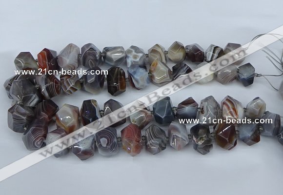 CNG5680 12*16mm - 15*20mm faceted nuggets botswana agate beads