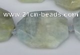 CNG5690 15.5 inches 20*30mm - 35*45mm faceted freeform aquamarine beads