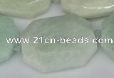 CNG5691 15.5 inches 20*30mm - 35*45mm faceted freeform amazonite beads